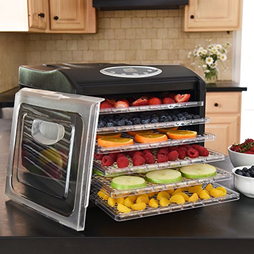 Ivation Powerful 9-Tray Food Dehydrator, Transparent Shelves, Programmable, Dishwasher-Safe Parts, Black